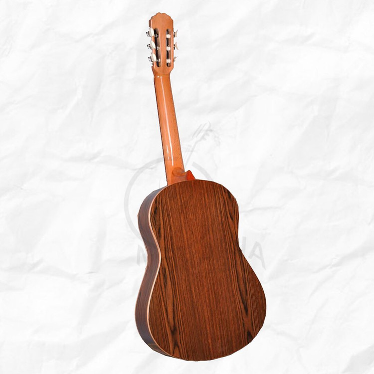 گیتار نورانیا c3