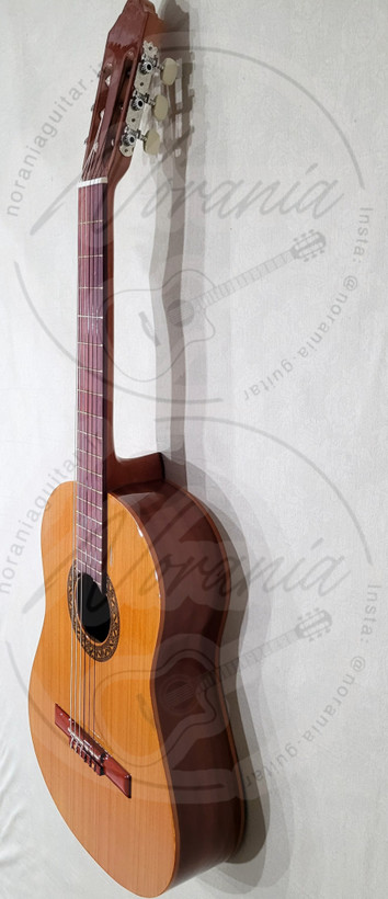 گیتار نورانیا c2